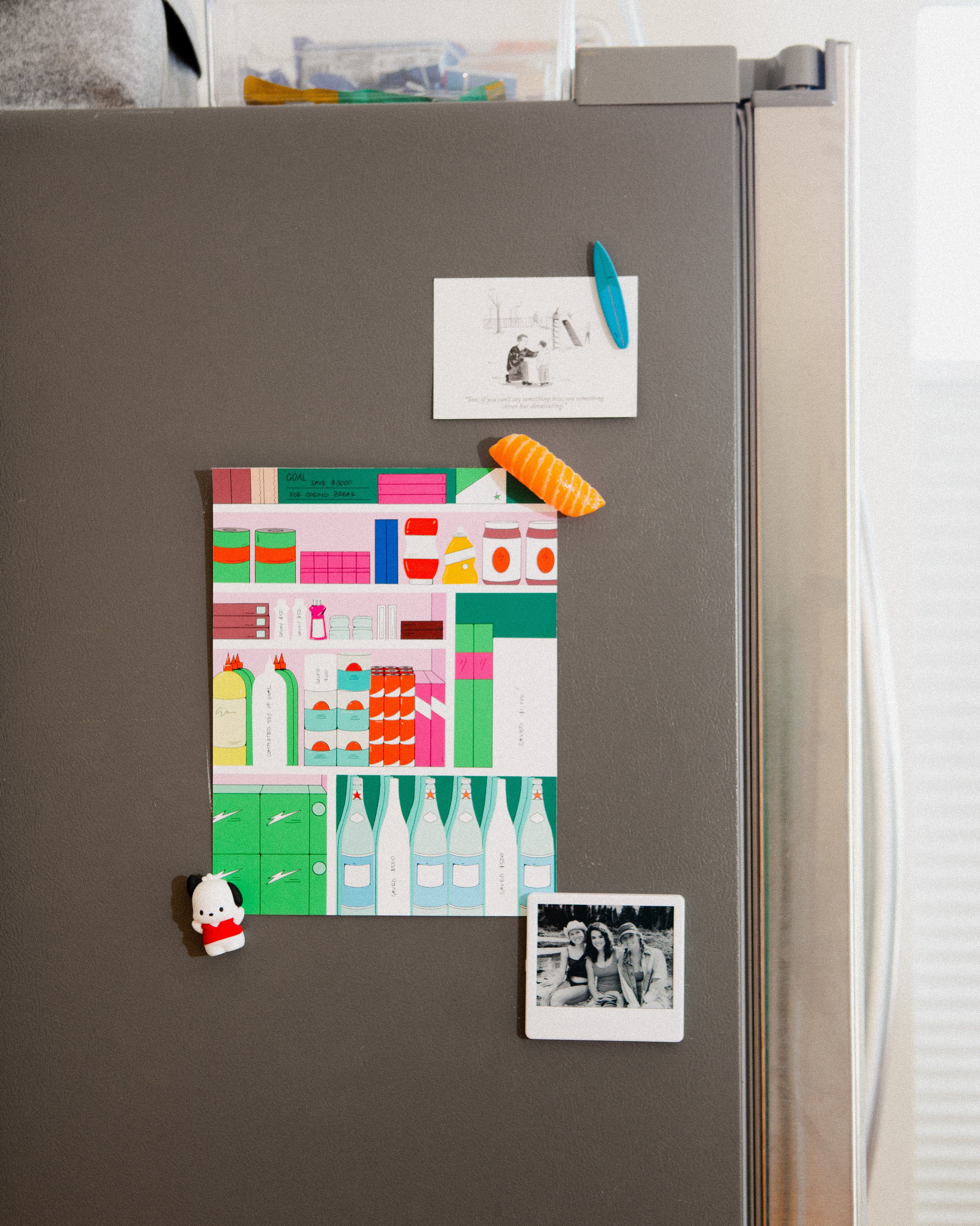 Financial Goal Tracking Kit - Kitchen Pantry - Image 6